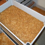 Mealworm can be used as food in the EU