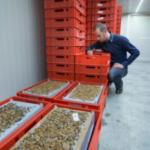 From subsidy advice bureau to insect nursery