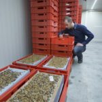 Van Subsidieadviesbureau naar een Insectenkwekerij