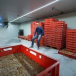 Wadudu Insect Center opens its doors